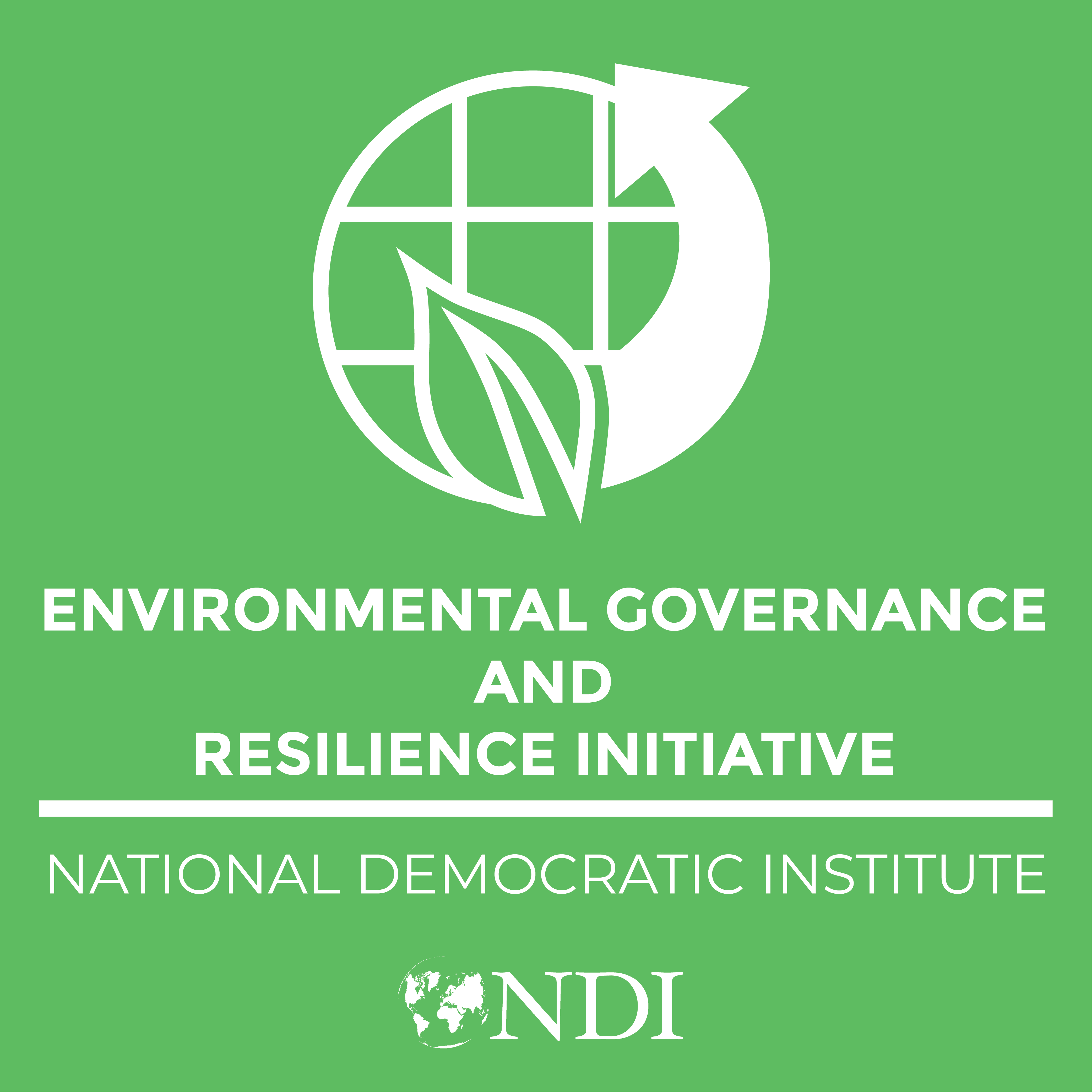 Definition Of Environmental Governance